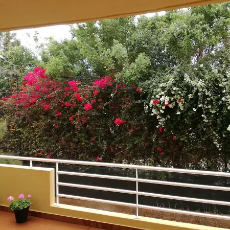 Refugio Madeira Apartment Canico  Exterior photo
